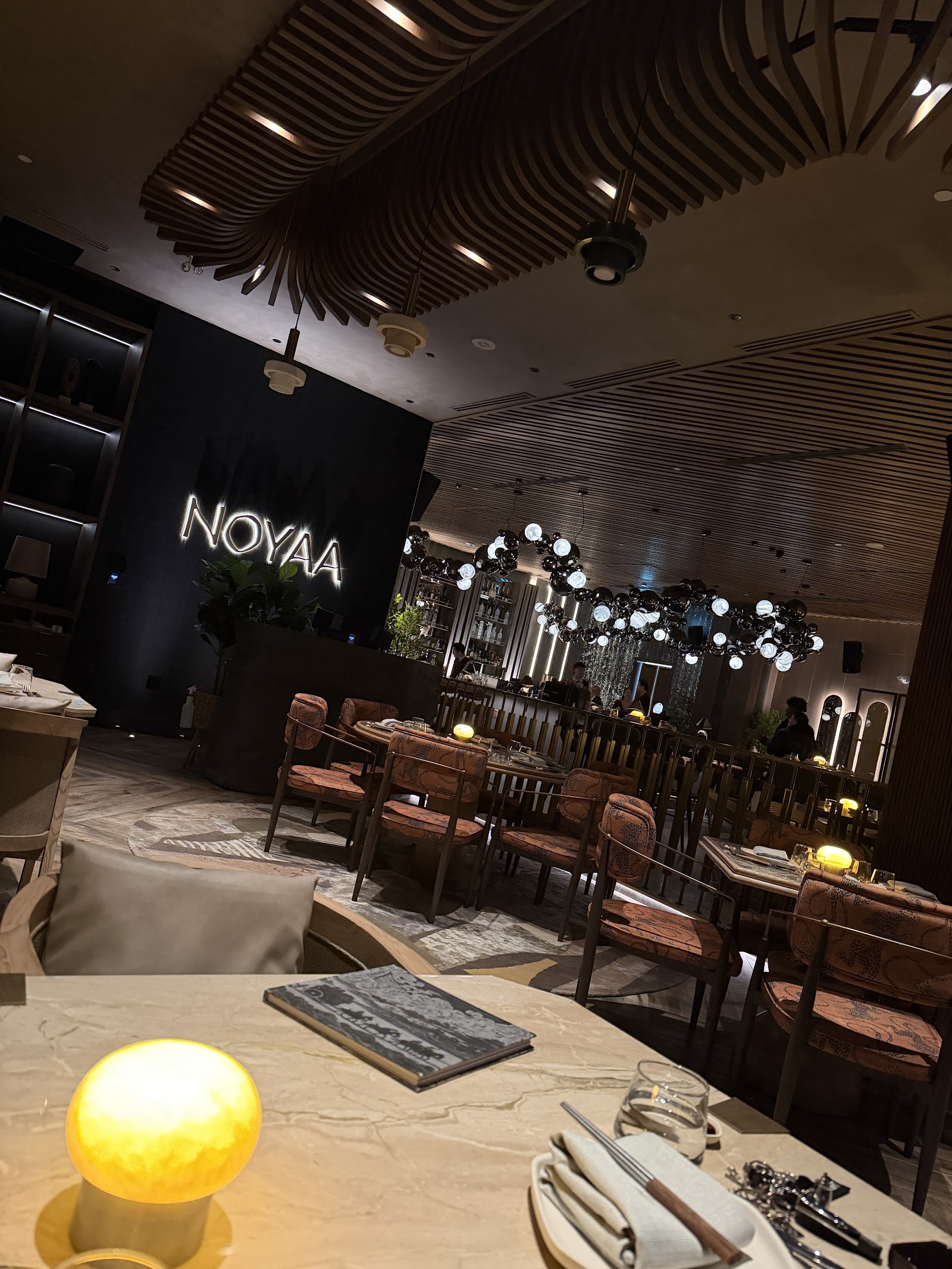 NOYAA photo 5
